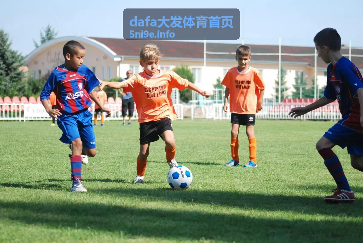 dafa大发体育首页篮球综合竞技精彩内容封面